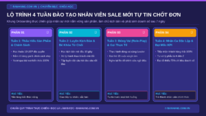 Lộ Trình 4 Tuần Đào Tạo Nhân Viên Bán Hàng Mới Tự Tin Chốt Đơn