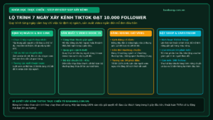 Lộ Trình 7 Ngày Xây Kênh TikTok Bán Hàng Đạt 10.000 Follower Chuẩn Tự Nhiên